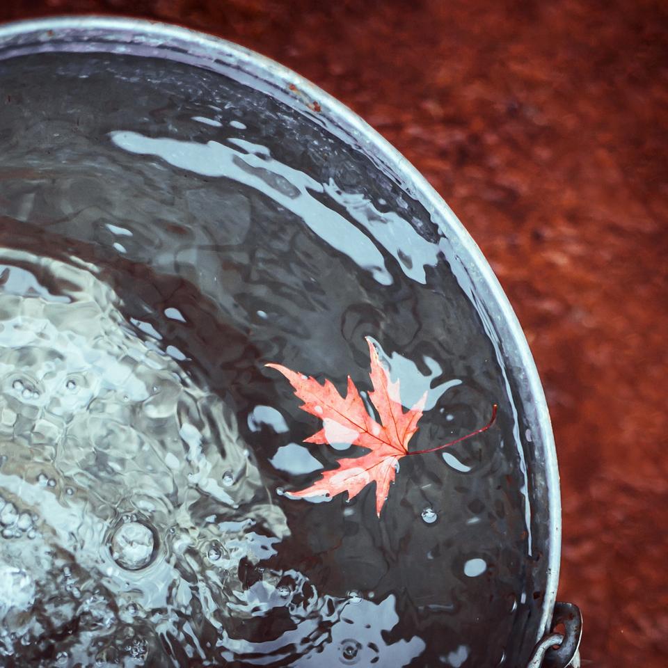 L'eau de pluie estelle potable — free download